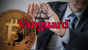 Vanguard Calls Bitcoin an Immature Asset Class