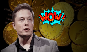 Why Elon Musk Marvels at Bitcoin