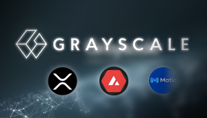 Big Gray Fund Positions, MATIC Falls Out of Favor, AVAX and XRP Become Popular, What Should Investors Do?