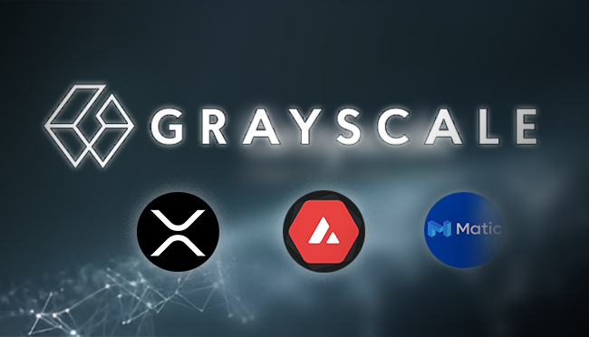 Big Gray Fund Positions, MATIC Falls Out of Favor, AVAX and XRP Become Popular, What Should Investors Do? - Trade News - 1